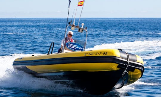 Valiant RIB Charters in Puerto Calero, Spain