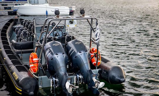 Aluguer de barco no “Speed Boat” em Władysławowo, Polônia