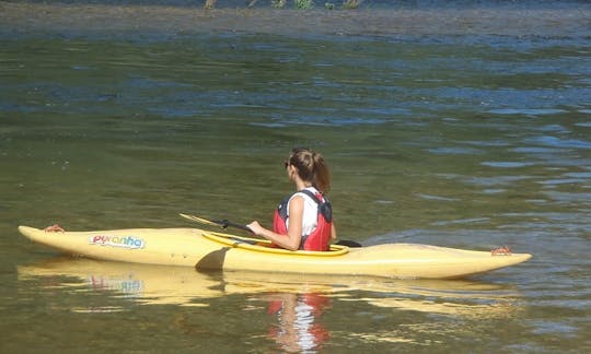 Excursion passionnante en kayak sur le fleuve Mondego, au Portugal