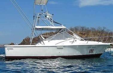 TUNA FISH 31' Fishing Charter in Coco