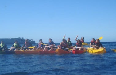 5 Hours Kayak Guided Exploration in Valparaíso, Chile