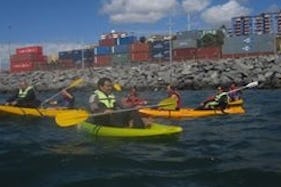 Guided Kayak Exploration in Valparaíso, Chile