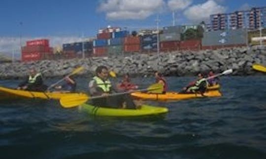 Guided Kayak Exploration in Valparaíso, Chile