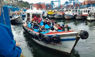 Explore Valparaíso, Chile on a Passenger Boat