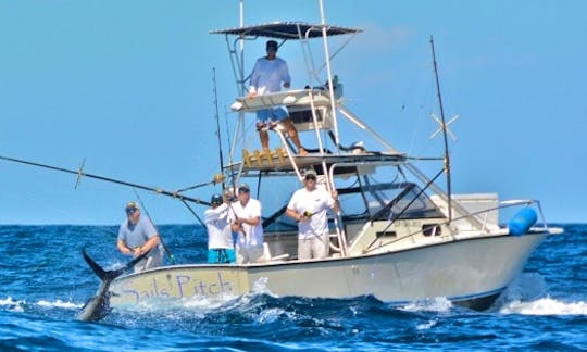 28' Sport Fishing Carolina Classic in Miami Beach