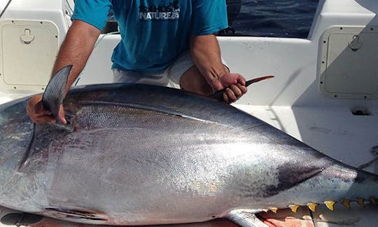 Pesca esportiva na ilha de S. Miguel - Açores