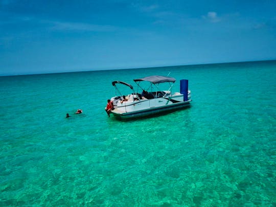 Private Pontoon Tours for up to 6 People, Captain included, Clearwater Beach