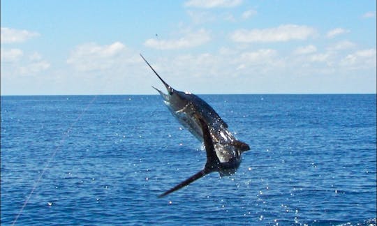 Dusky' 27' Sport Fisherman in Tamarindo, Costa Rica