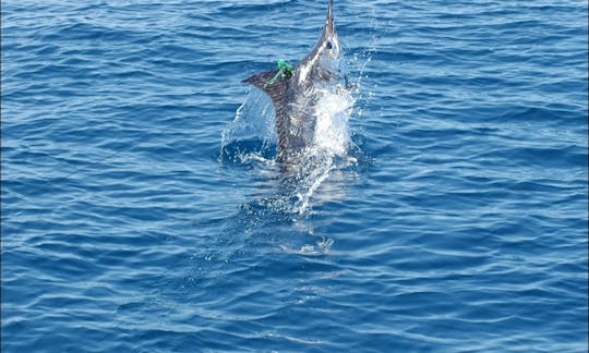 Dusky' 27' Sport Fisherman in Tamarindo, Costa Rica