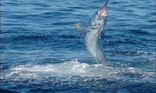 Dusky' 27' Sport Fisherman in Tamarindo, Costa Rica