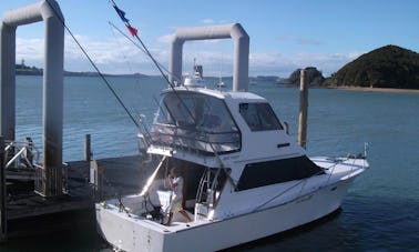 43' Sportfisher Yacht In Bay of Islands, New Zealand