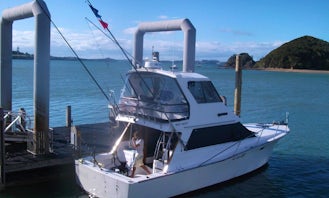 43' Sportfisher Yacht In Bay of Islands, New Zealand