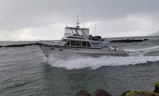 Overnight Fishing Charter In Whakatane