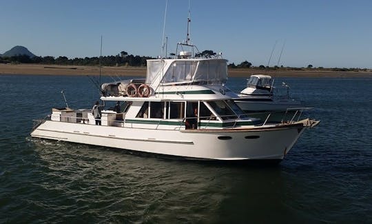 Overnight Fishing Charter In Whakatane