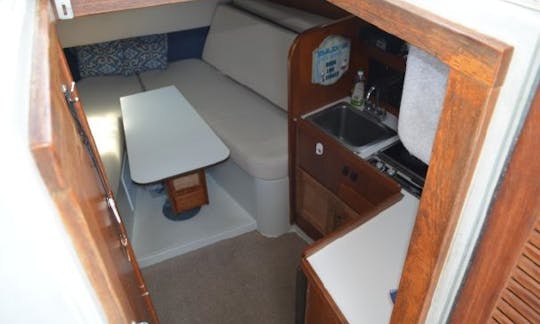 Rampage 31' Sport Fisherman Charter in Tamarindo, Costa Rica