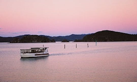 Enjoy 54' Passenger Boat Dinner Cruise 'Ratanui' in Paihia, Northland