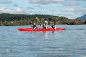 Hire this Kayak in Rotorua, New Zealand
