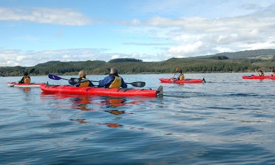 Hire this Kayak in Rotorua, New Zealand