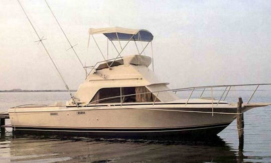 30ft Phoenix Sportfisher Yacht Fishing Charter With Captain Kevin In Manistee, Michigan