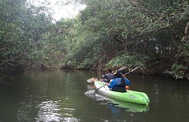 7-Day All Inclusive Kayak Aventure Tours in Costa Rica
