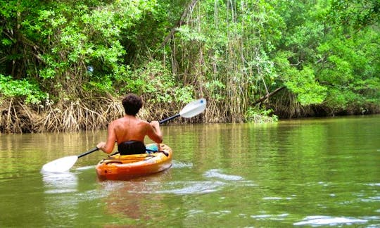 7-Day All Inclusive Kayak Aventure Tours in Costa Rica