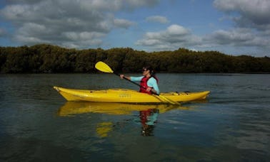 Self Guided Kayak Hire Trip in Auckland, New Zealand