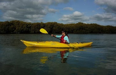 Self Guided Kayak Hire Trip in Auckland, New Zealand