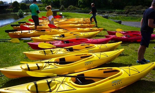 Kayak Trips in Auckland, New Zealand