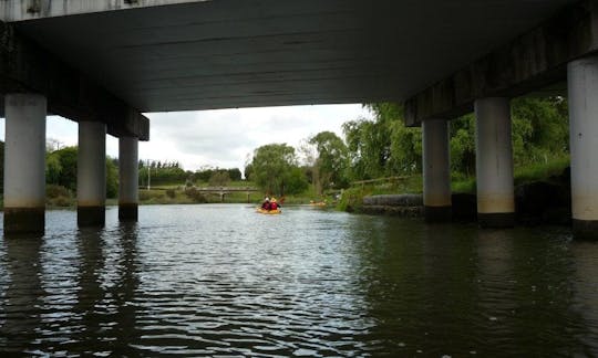 Kayak Trips in Auckland, New Zealand