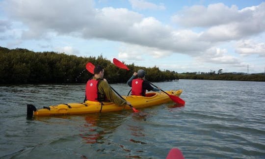 Kayak Trips in Auckland, New Zealand