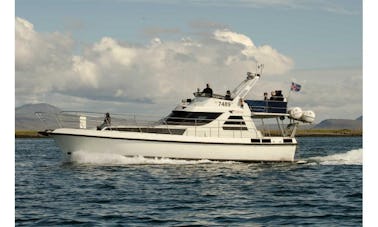 Elding II | Yate a motor de lujo de 48 pies