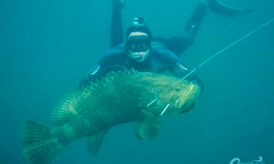 Sport Fisherman Diving Charter in Manta, Ecuador