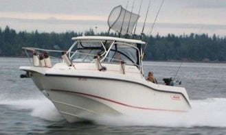 Guided Fishing Charter In Comox