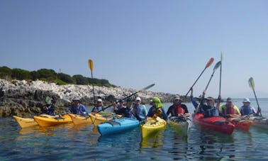 Tours en kayak en Argostoli