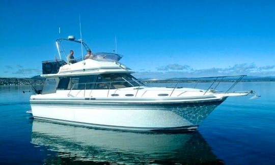 36' Bravado-3 Trout Charter & Cruising in Lake Taupo