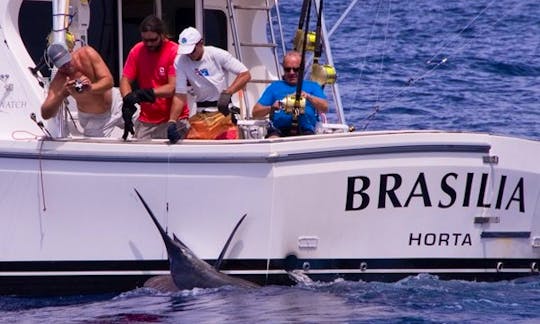 Luxury ''Brasilia 40'' Sport Fisherman Charter in Portugal