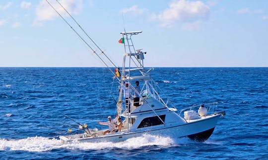 Luxury ''Brasilia 40'' Sport Fisherman Charter in Portugal