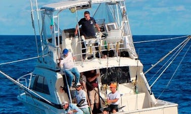''Nola 37'' Sport Fisherman Charter in Portugal
