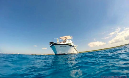 Diving and Snorkeling Tour in Conzumel