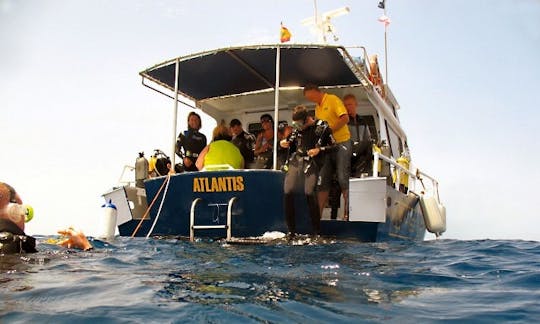 44' Aluminum Dive Boat In Las Palmas