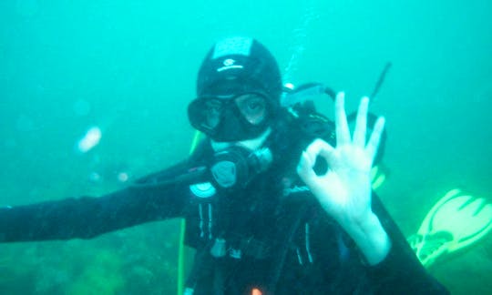 Scuba Diving In Amora