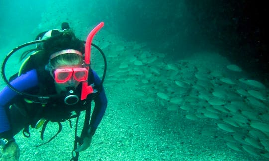 Enjoy experience of diving with professional In Zihuatanejo, Mexico