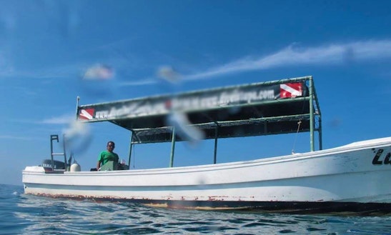 Enjoy Experience Of Diving With Professional In Zihuatanejo, Mexico