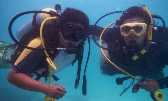 Enjoy experience of diving with professional In Zihuatanejo, Mexico