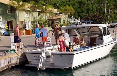 30' Cuddy Cabin Diving Charter in British Virgin Islands
