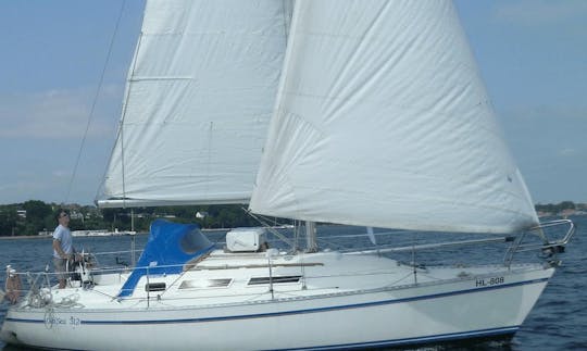 Charter Gib Sea 312 Sailing Yacht In Kiel