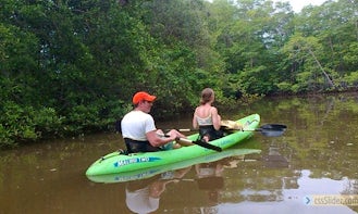 Explore the reefs and beach area of Tamarindo, Costa Rica on a Kayak Tour