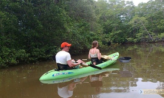 Explore the reefs and beach area of Tamarindo, Costa Rica on a Kayak Tour