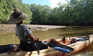 Explore o estuário na Costa Rica em um passeio de caiaque