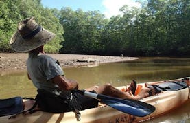Explore The Estuary In Costa Rica on a Kayak Tour